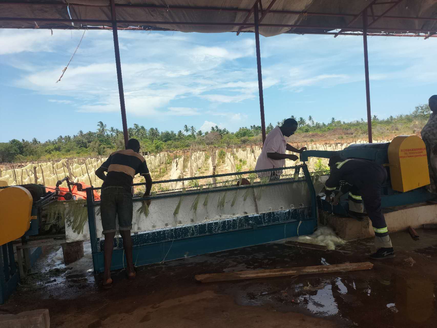 Fiber extraction site 4